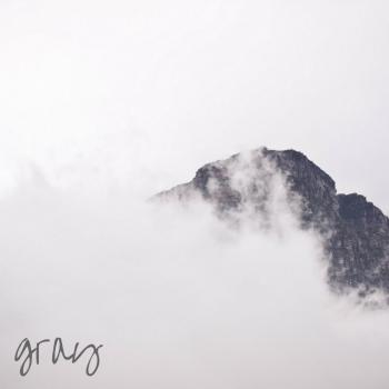 Gray Gray