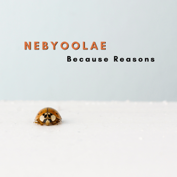 Because Reasons Because Reasons