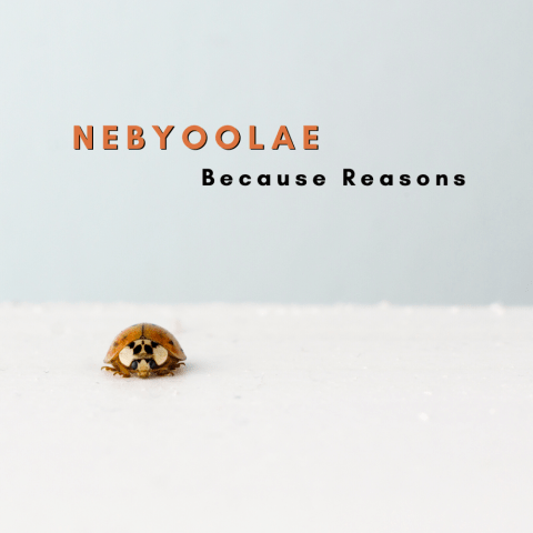Because Reasons Because Reasons